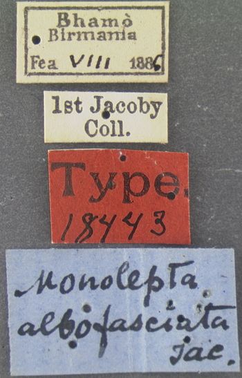 Media type: image;   Entomology 18443 Aspect: labels